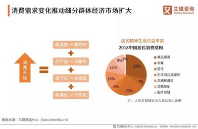 數(shù)據(jù)報(bào)告|2019中國互聯(lián)網(wǎng)群體經(jīng)濟(jì)用戶與消費(fèi)行為研究